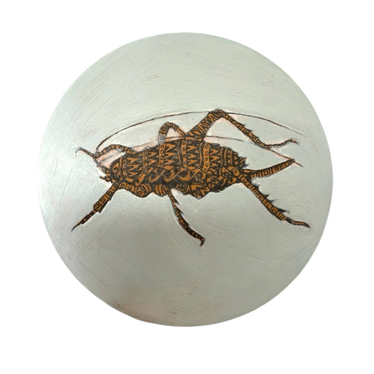 Nature's Pattern- Weta